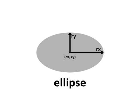 svg ellipse