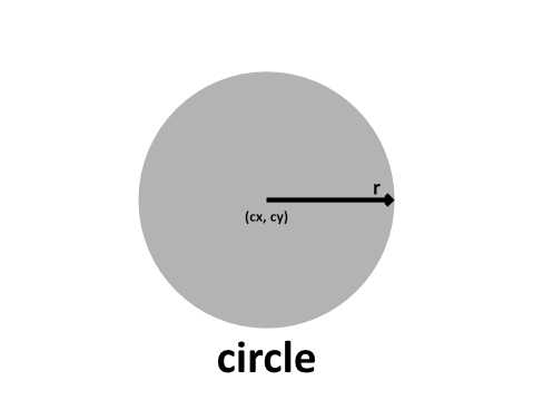 svg circle